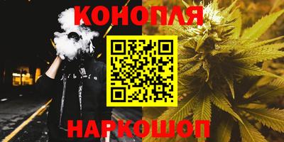 шишки Лесосибирск