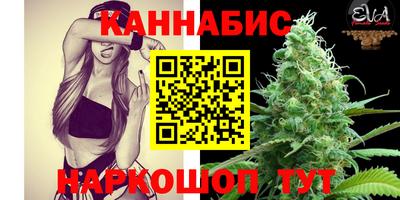 шишки Лесосибирск